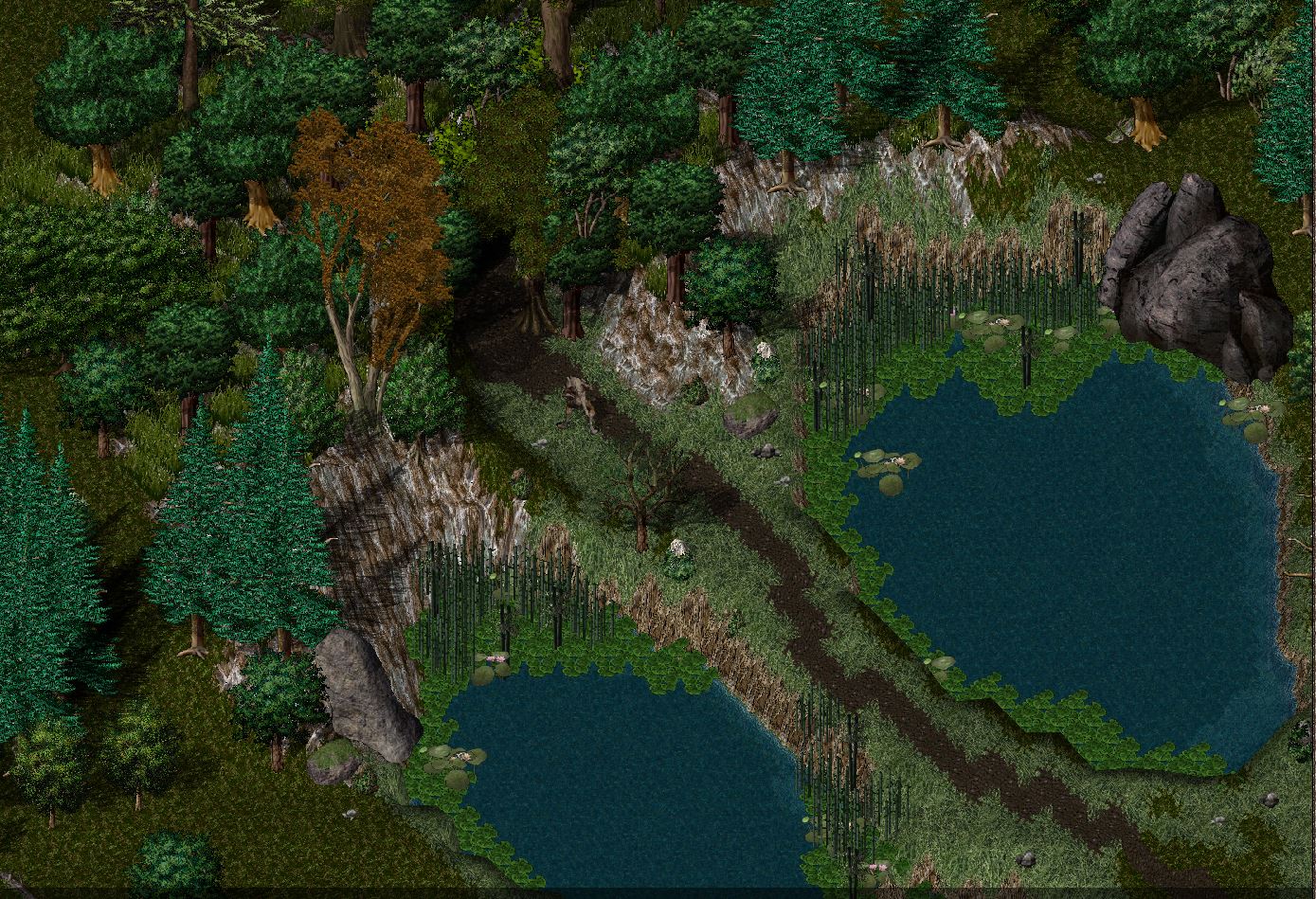 Bosco dei denti aguzzi