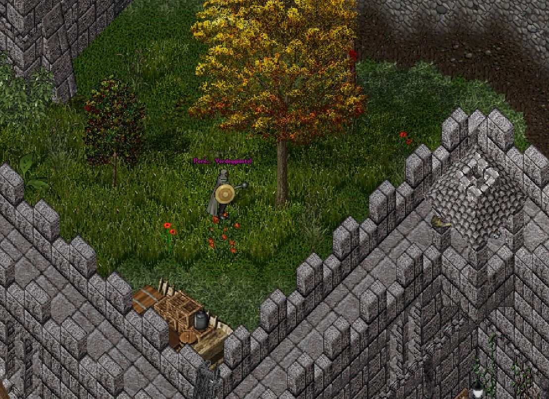 Rigogliosissima erba