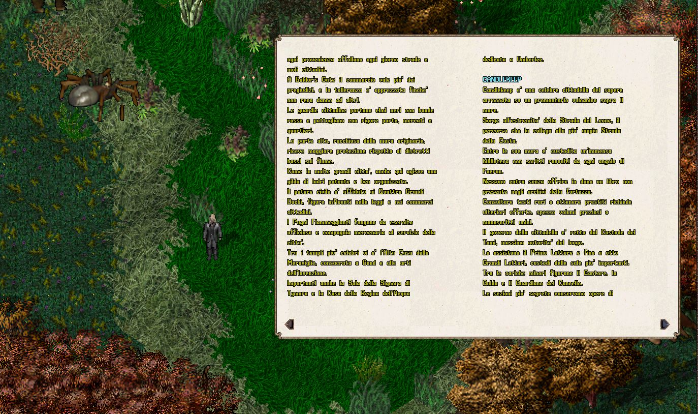 Una onesta guida per il Faerun
